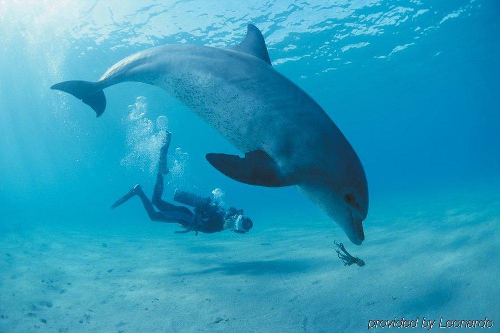 ホテル Medina Palms ワタム エクステリア 写真